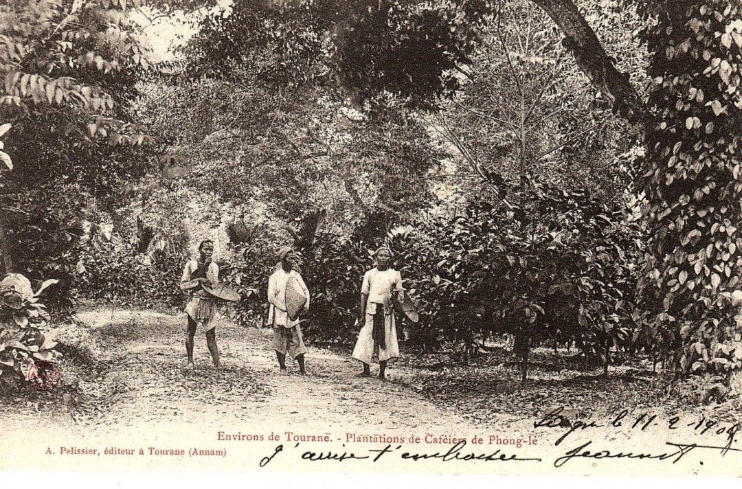 Đồn điền cà phê Phong Lệ xưa (Đà Nẵng) qua bưu ảnh của Albert Pélisser_ Nguồn ảnh: Internet